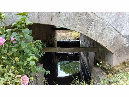 ancien moulin en pierre à rénover site isolé  sans voisinage fort potentiel professionnel 