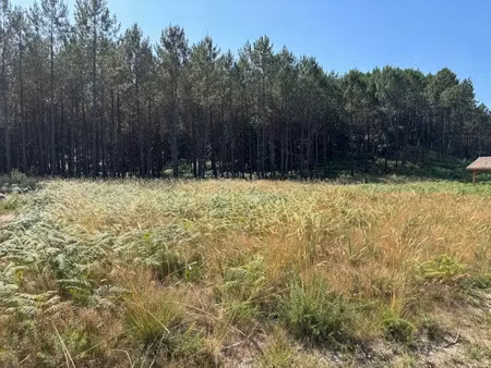 vente terrain 1088 m² à vielle-saint-girons (40560)  115 932 €