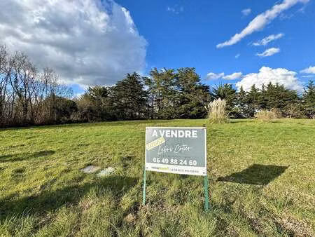 vente terrain au fenouiller (85800) : à vendre / le fenouiller