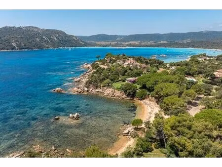villa de luxe de 6 pièces en location porto-vecchio  france