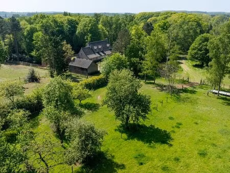 maison à vendre à tielt € 1.189.000 (lazav) - hillewaere hasselt | zimmo