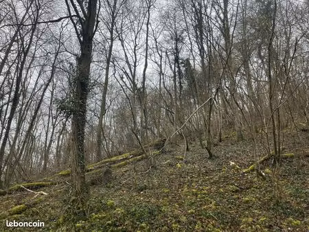 terrain 8017 m² vailly sur aisne