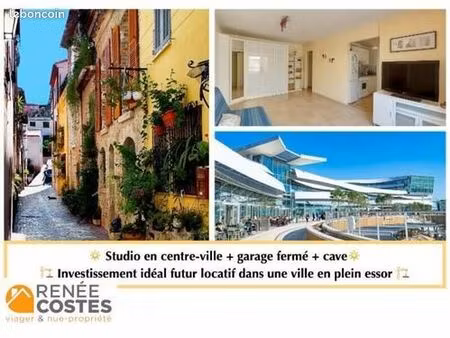 appartement en viager 1 pièce 32 m²