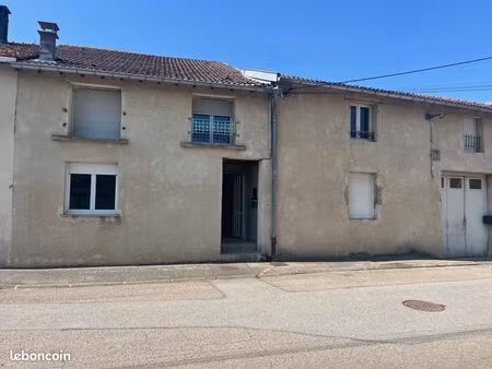 immeuble 250 m² remoncourt