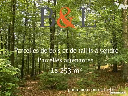 terrain 18253 m² st julien du sault