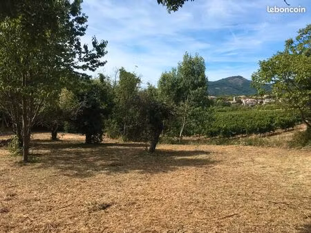 terrain constructible à joannas  ardèche méridionale