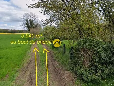 terrain 5 640 m² sancoins