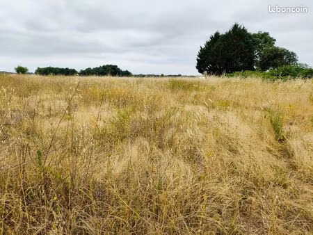 terrain 3 799 m² saint hilaire du bois