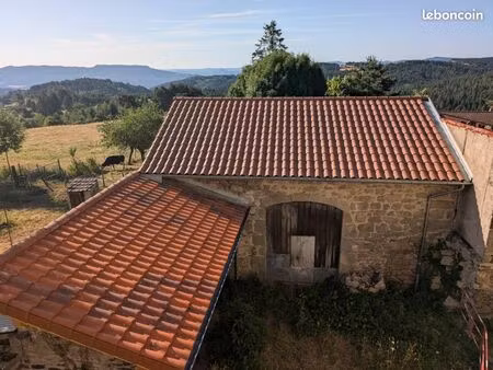 immeuble 300 m² saint andre de chalencon