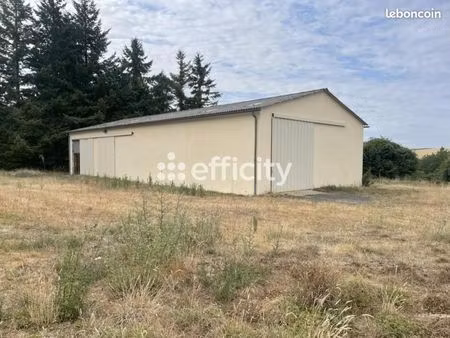 local 300 m²