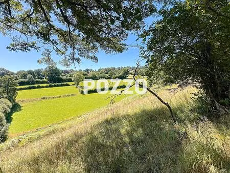 vente terrain à villedieu-les-poêles-rouffigny (50800) : à vendre / 14983m² villedieu-les-