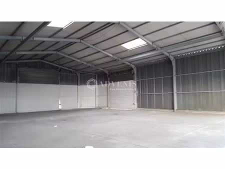 local d'activités a louer