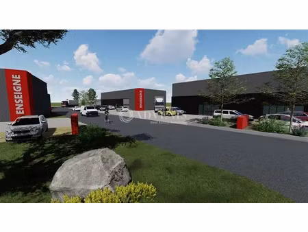 local d'activités a louer