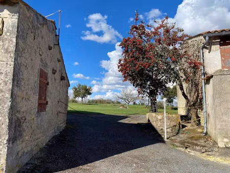 vente ferme 1 pièce 303 m² à annezay (17380)  112 000 €