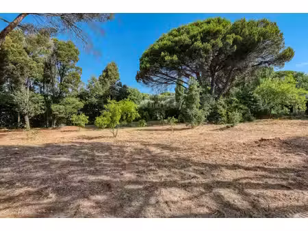 exclusivite : terrain à vendre au cœur de saint-tropez