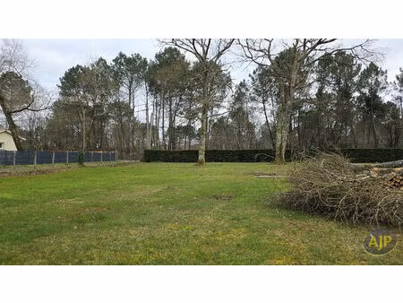 terrain 1340m² st jean d'illac limite cestas