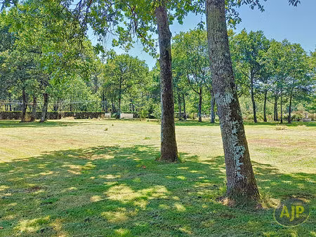 terrain saint jean d' illac 1348 m2 (proche cestas)