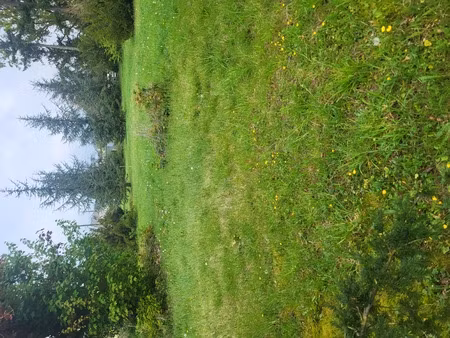 terrain constructible 6 km sud montargis