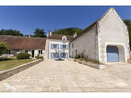 vente maison 12 pièces 400 m² seigy (41110)