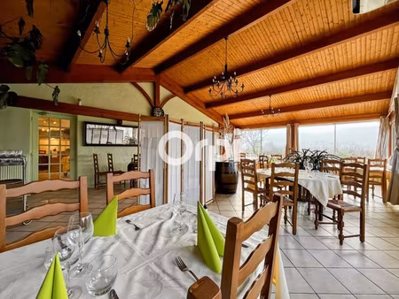 vente commerce 370 m² meys (69610)