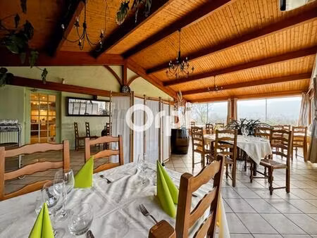 vente commerce 370 m² meys (69610)