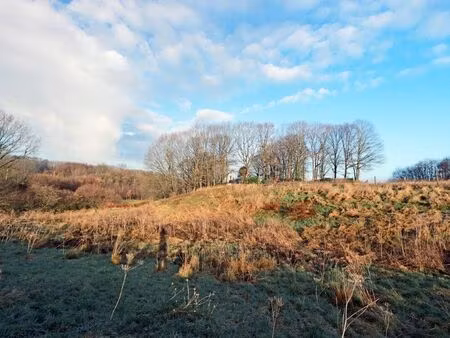 terrain à vendre à tielt € 39.000 (lb48s) - era janssens & janssens (tielt-winge) | zimmo