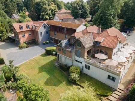 bien professionnel à vendre à flobecq € 1.100.000 (lb4l6) - loix & delwart | zimmo