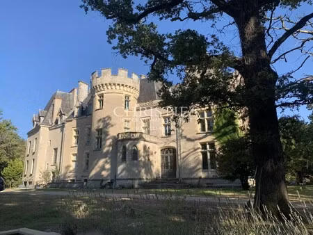 château à vendre au le chautay