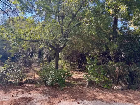 vente terrain à batir 370 m² à nimes (30000)  159 000 €