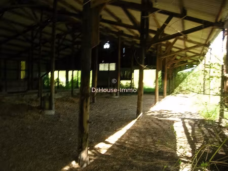 vente locaux professionnels à varennes-en-argonne (55270)  65 000 €