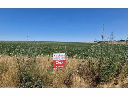 terrain homblières m² t- à vendre  49 800 €