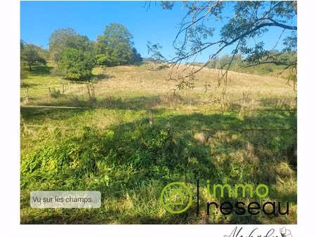 terrain constructible