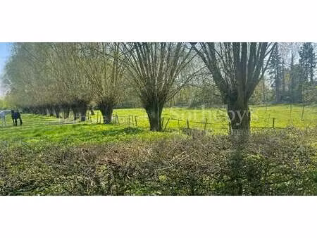 maison avec jardin villeneuve-d'ascq (59)