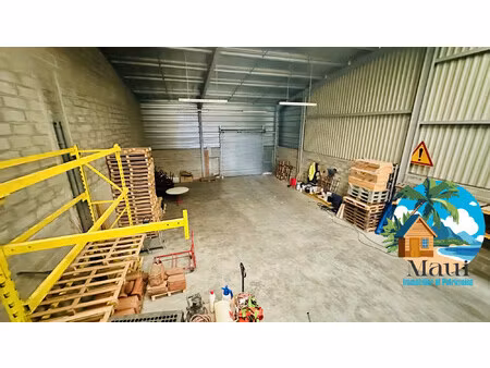 immobilier professionnel à vendre saint-jean-d'illac