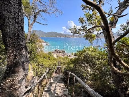 villa de 6 chambres de luxe en location propriano  corse