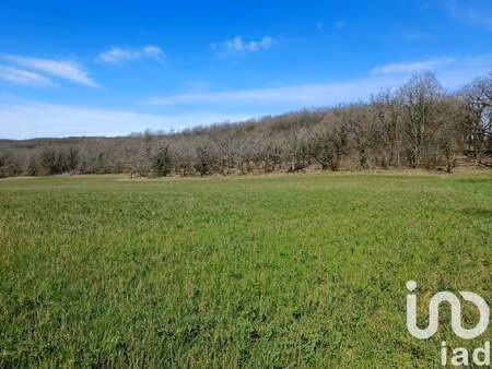 vente terrain piscine à jayac (24590) : à vendre piscine / 4859m² jayac