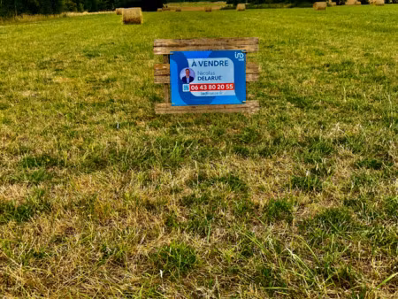 vente terrain à sassay (41700) : à vendre / 5290m² sassay