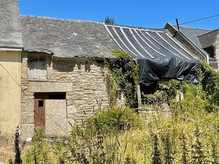 immeuble à vendre à la vraie-croix (56250) - morbihan