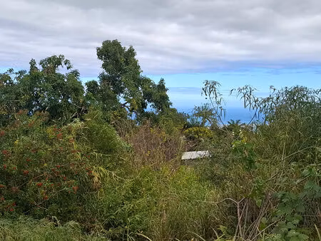 a vendre terrain constructible 700 m2 petit tampon (le tampon)