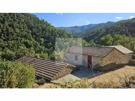 maison en pierre terrain et vue
