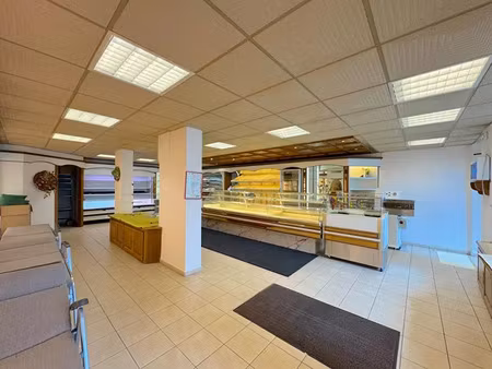 67490 lupstein - local commercial 217 m²