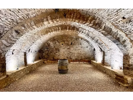 vente immeuble 9 pièces 365 m² à montbard (21500)  580 000 €