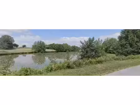 magnifique étang de plus d'un hectare