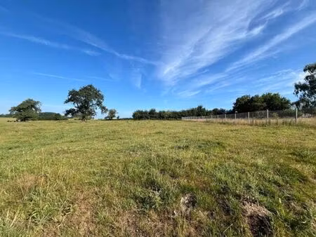 terrain à vendre – 12a 12ca – autreppe (honnelles)