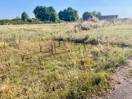 vente terrain 8650 m² gurgy (89250)