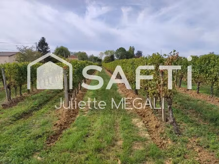 vente terrain 9963 m² à rauzan (33420)  316 000 €