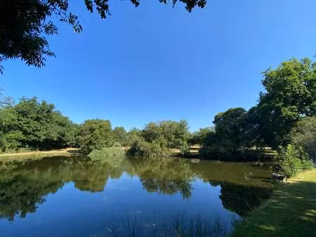 vente terrain à maulévrier (49360) : à vendre / 9200m² maulévrier