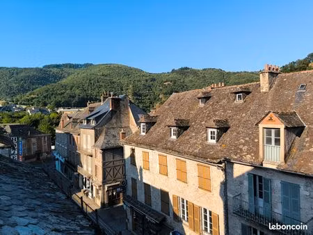 entraygues - aveyron - vallée du lot - appart 75m²
