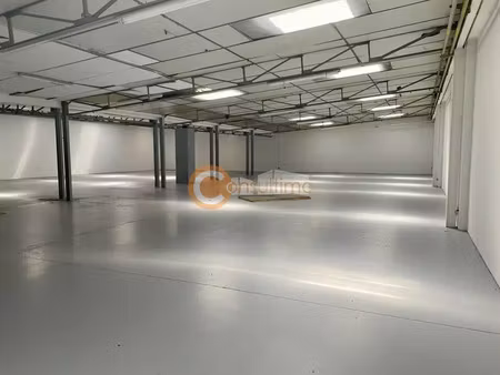 local d'activite a louer