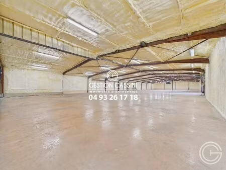 local d'activite a usage mixte - za de la grave - 2030m²